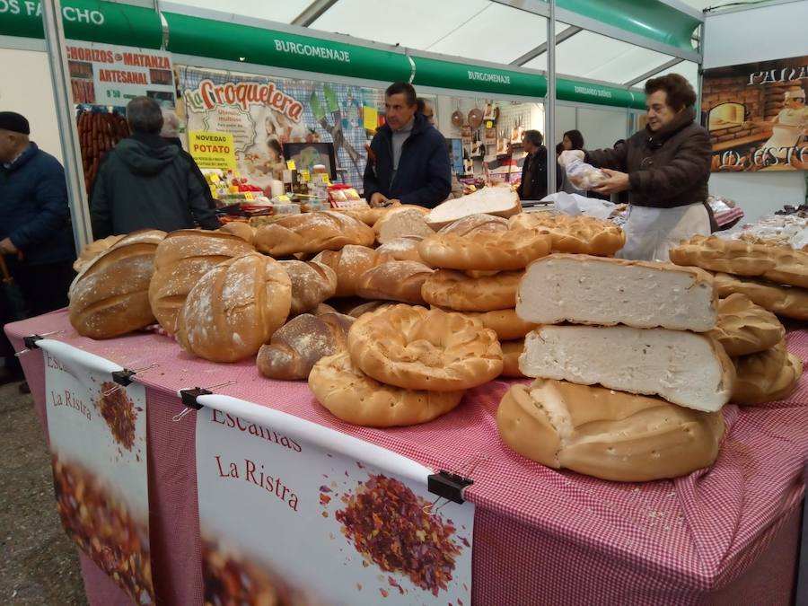 Fotos: Mansilla de las Mulas celebra la feria de San Martín