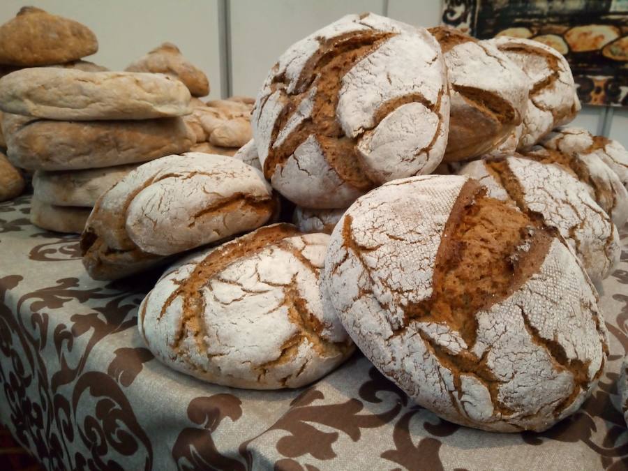 Fotos: Mansilla de las Mulas celebra la feria de San Martín