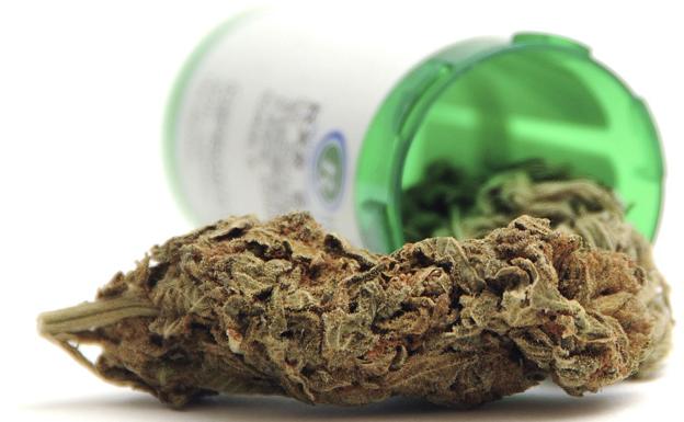 Antibióticos e Inbiotec se lanzan en León a un gran proyecto para lograr 'cannabinoides' contra el dolor