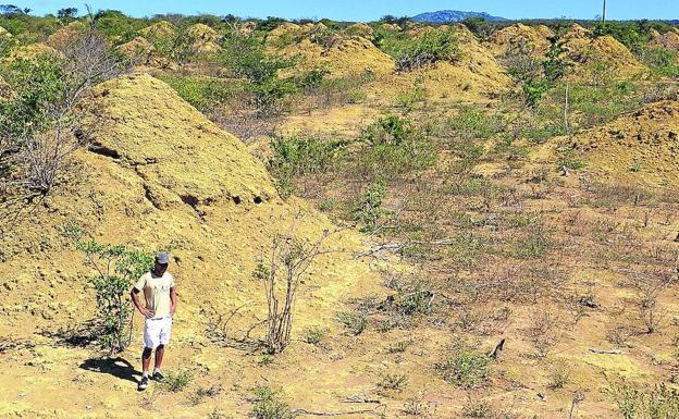 Un investigador en una zona con montículos de tierra. 