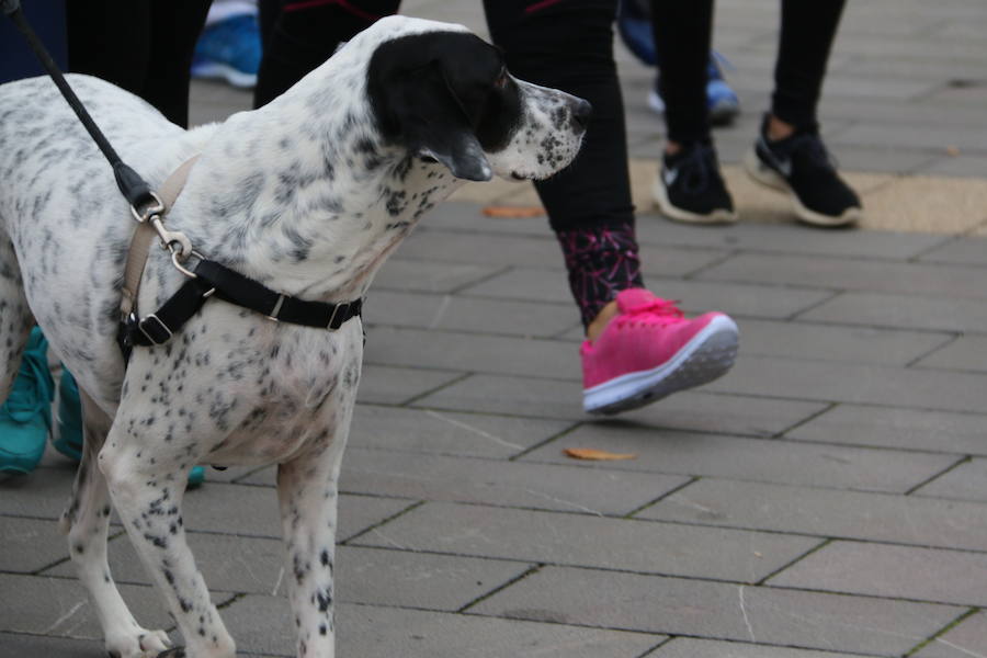 Fotos: Una carrera para disfrutar con los compañeros