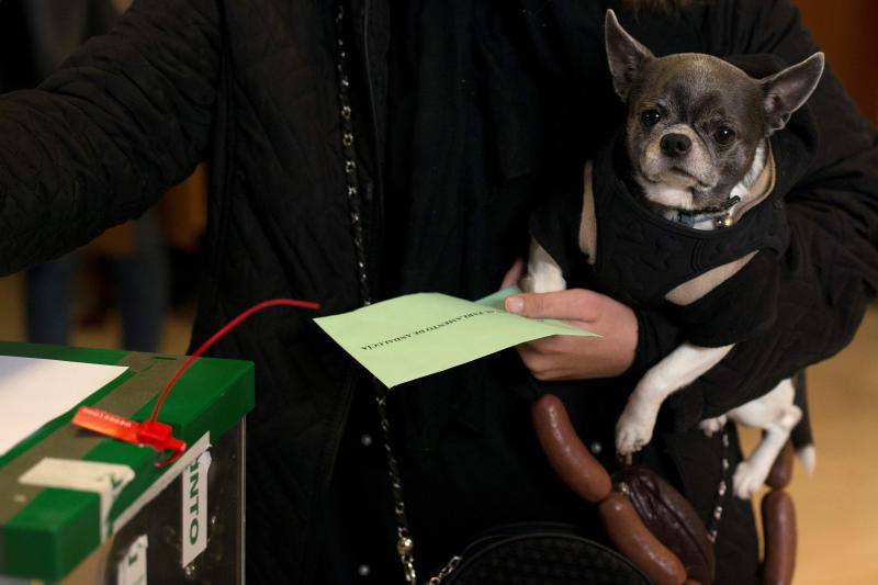 Una mujer sostiene a su perro, llamado Torete, mientras vota en un colegio electoral de Málga.