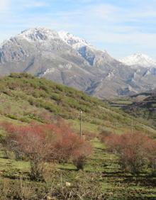 Imagen secundaria 2 - La Ruta de las cascadas y Vegarada se unen en belleza y espectacularidad.