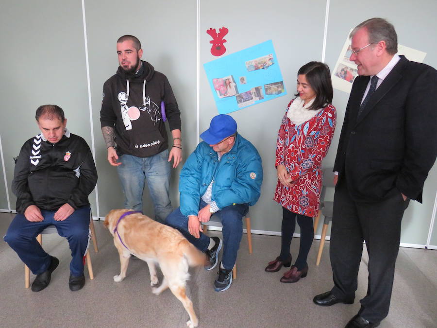 Fotos: Terapia con perros en Alfaem León