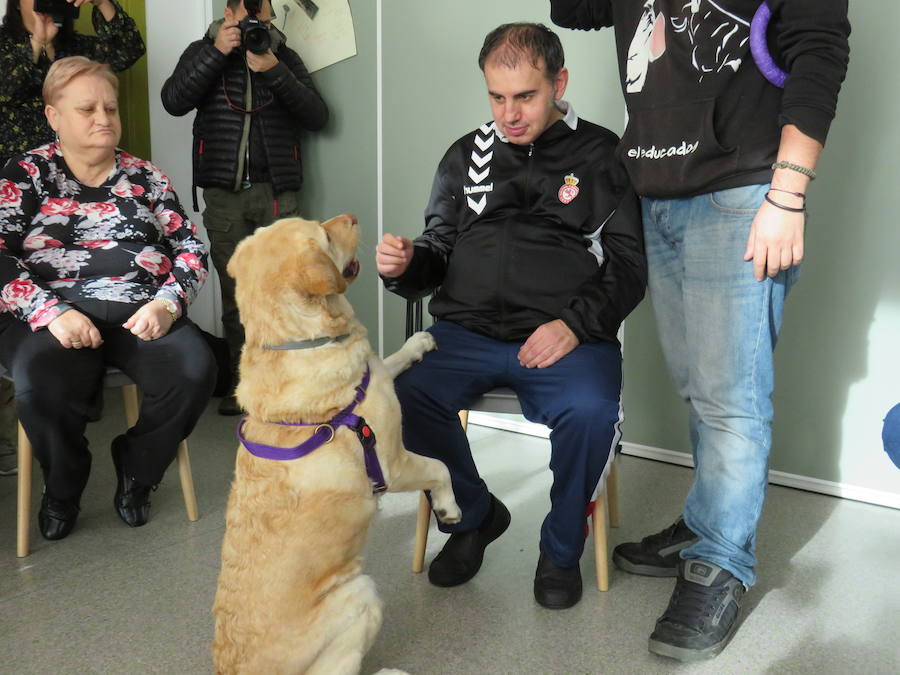 Fotos: Terapia con perros en Alfaem León