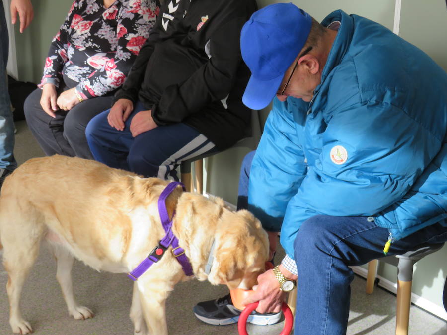 Fotos: Terapia con perros en Alfaem León