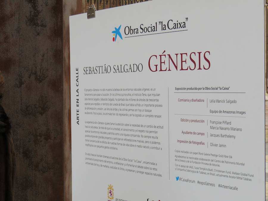 El primer teniente de alcalde, Fernando Salguero, el director de Área de Negocio de CaixaBank en León, Carlos Arruti, y el representante de la obra de Sebastião Salgado en España, Miguel González, inauguran la exposición 'Sebastião Salgado. Génesis. Arte en la calle'.