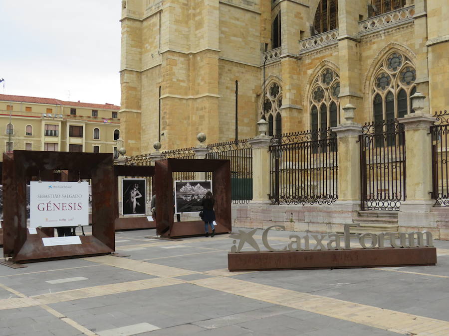 El primer teniente de alcalde, Fernando Salguero, el director de Área de Negocio de CaixaBank en León, Carlos Arruti, y el representante de la obra de Sebastião Salgado en España, Miguel González, inauguran la exposición 'Sebastião Salgado. Génesis. Arte en la calle'.