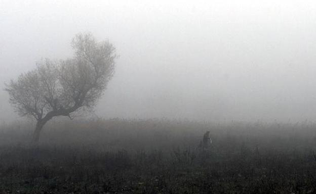 La niebla complica la circulación por carreteras de Ávila, Burgos y Palencia