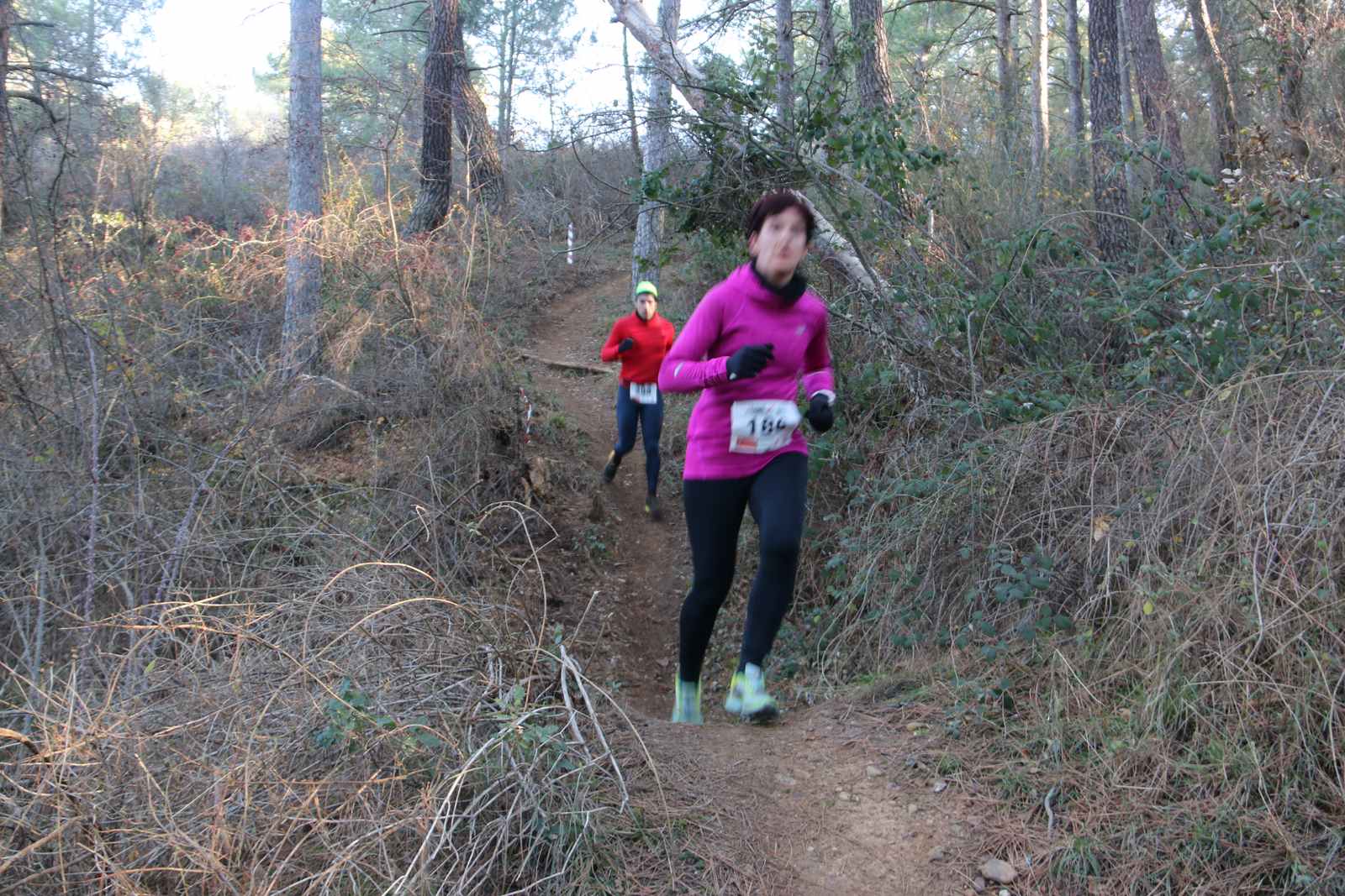 Imaágenes del recorrido de la Transcandamia 2019 - segunda parte