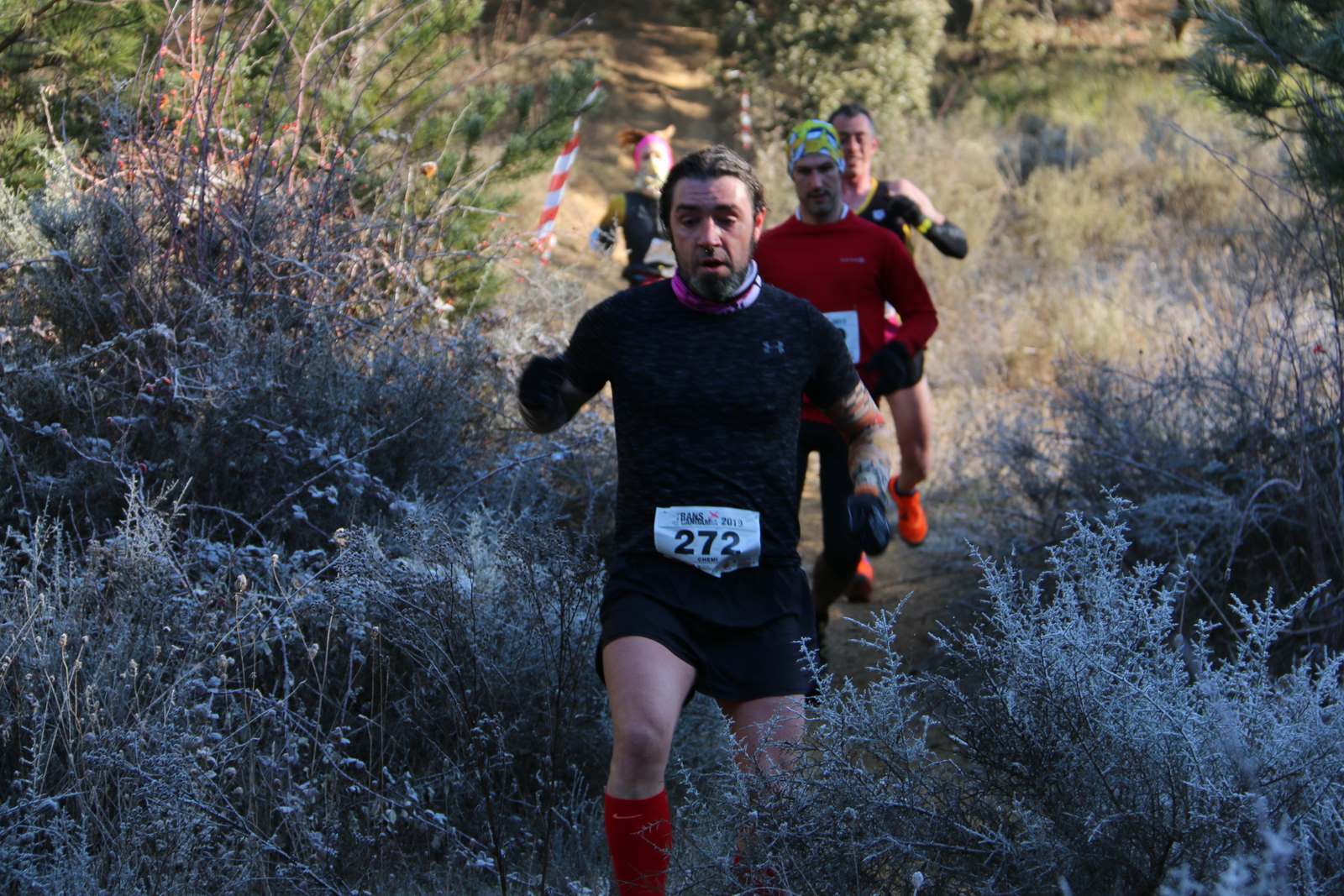 Imágenes del recorrido de la Transcandamia 2019 - segunda parte