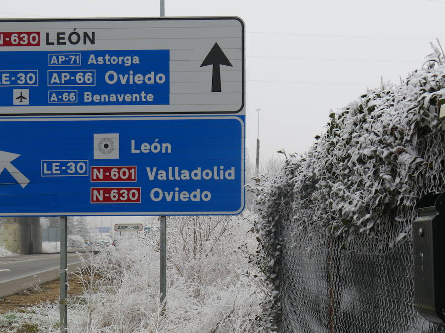 Fotos: Imágenes de la helada en León