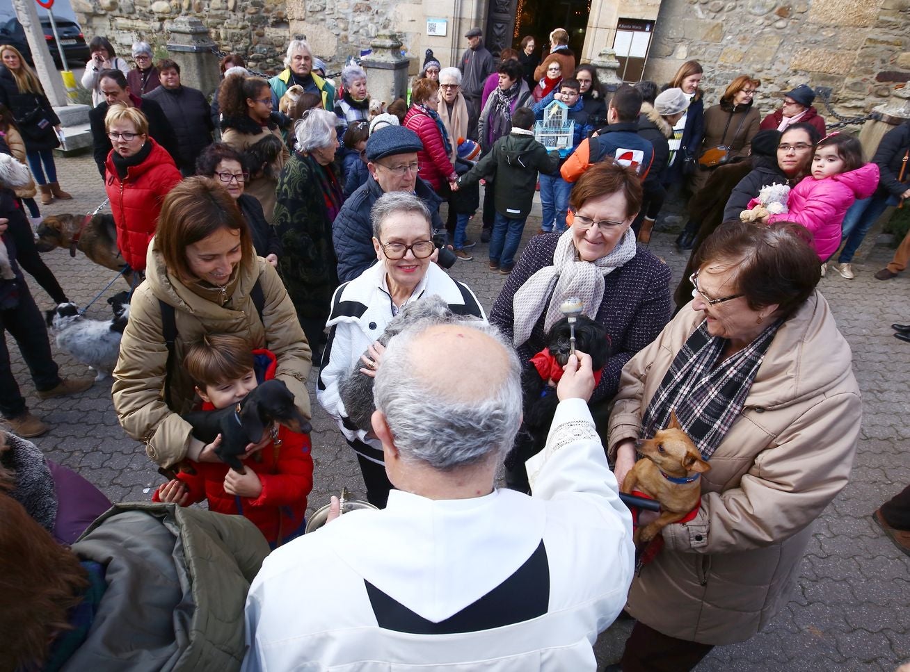 Tradicional bendición de animales por la festividad de San Antón en Cacabelos