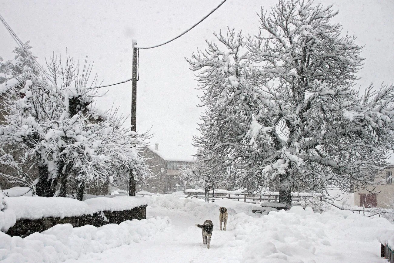 La nieve se instala en la provincia de León. La cota de nieve cae hasta los 800 metros en una provincia en alerta naranja.