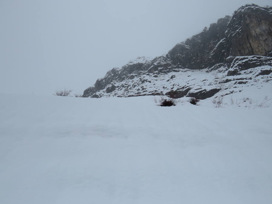 Fotos: León, bajo la nieve... y la lluvia