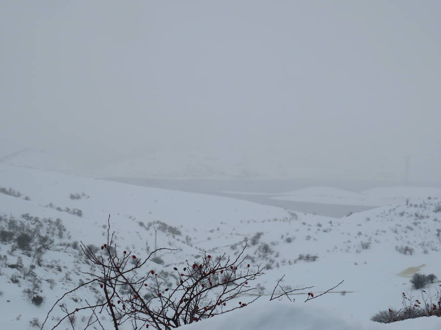 Fotos: León, bajo la nieve... y la lluvia