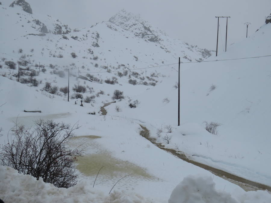 Fotos: León, bajo la nieve... y la lluvia