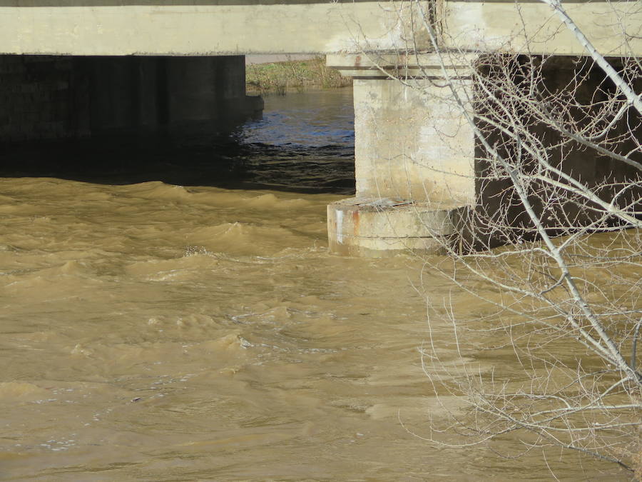 La credida del río Bernesga a su paso por la capital ha obligado al cierre de las pasarelas