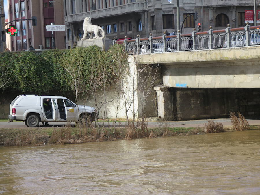 La credida del río Bernesga a su paso por la capital ha obligado al cierre de las pasarelas