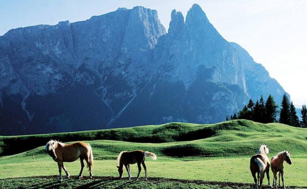 Vista de los Alpes italianos. 