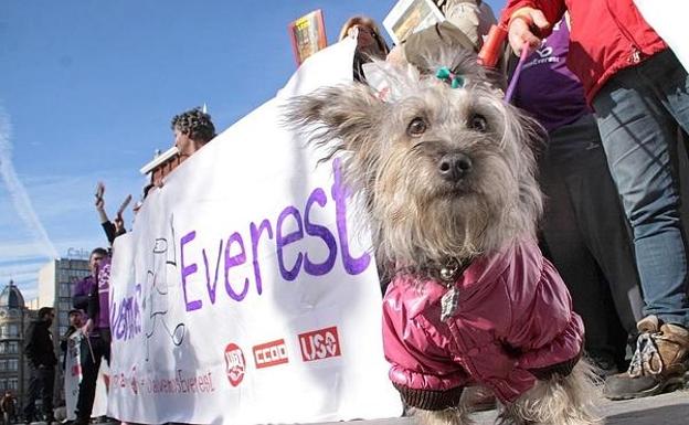 Los trabajadores de Everest recurrieron a este servicio.