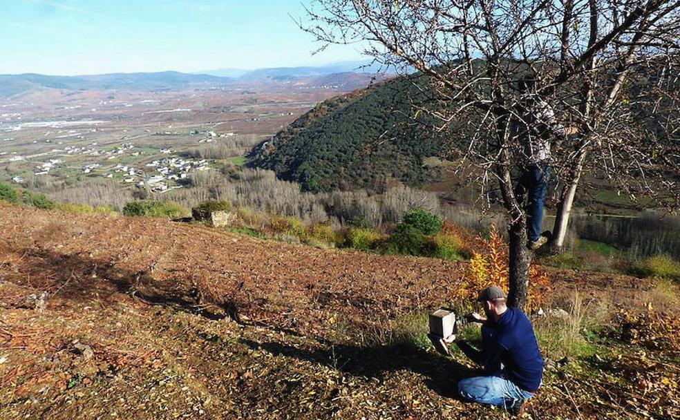 Colocación de cajas nido dentro de las actividades desarrolladas en Granja Cando Palacios, en Corullón.