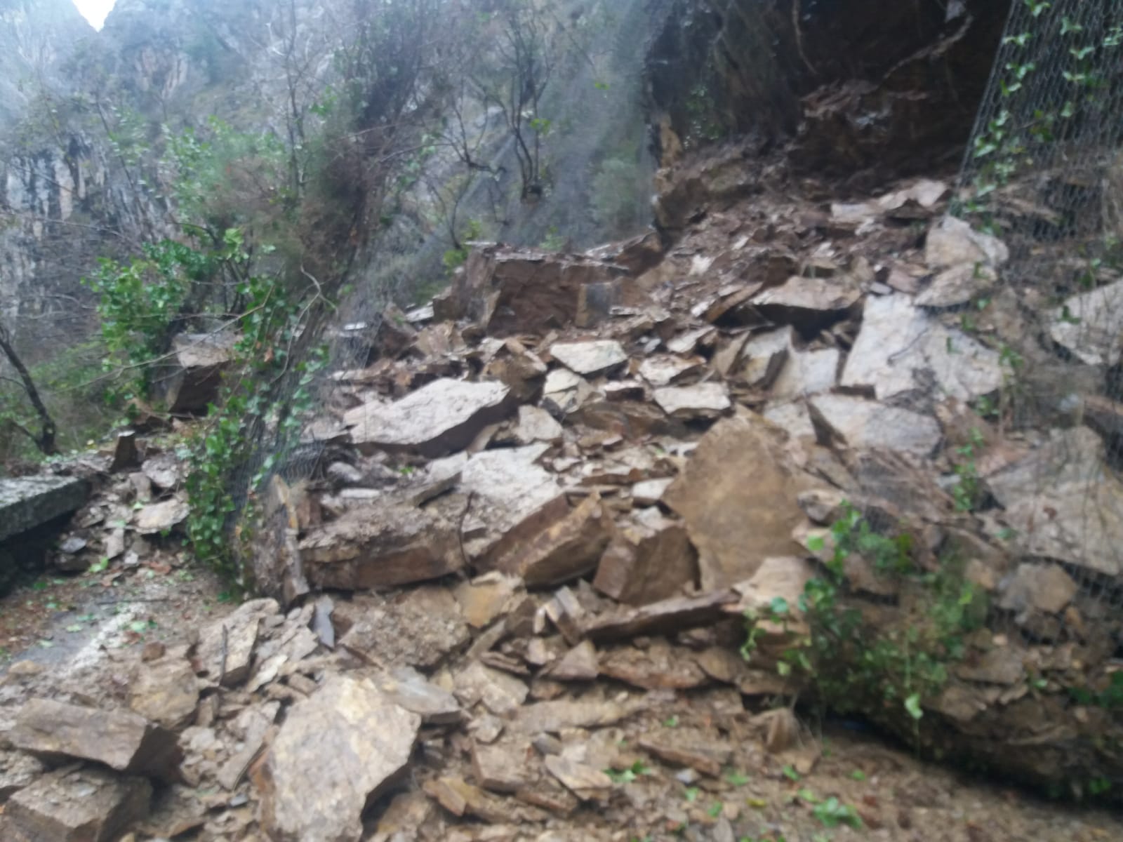 Fotos: Un argayo en Oseja de Sajambre corta la conexión con Asturias por Los Bellos