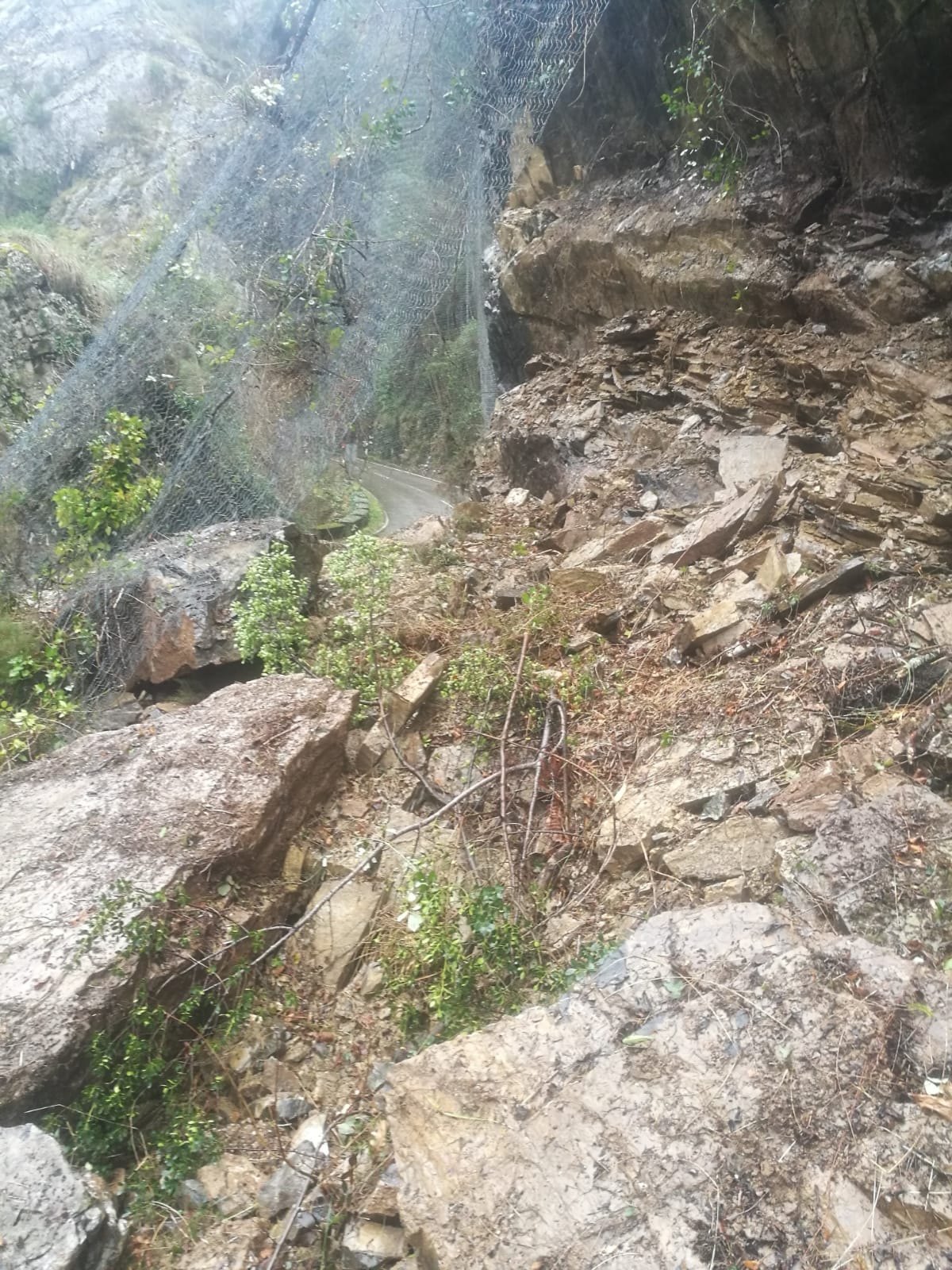 Fotos: Imágenes del argayo que mantiene cortado el desfiladero de los Beyos