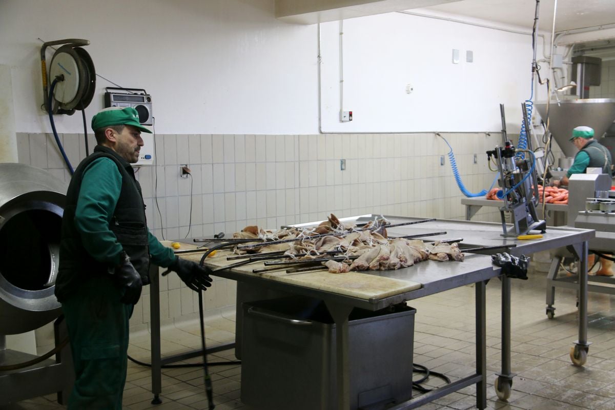 Situados a escasos metros de la capital leonesa en la carretera del Portillín, esta empresa cuenta con más de 30 años de experiencia que les ha permitido ser un referente en el sector. 