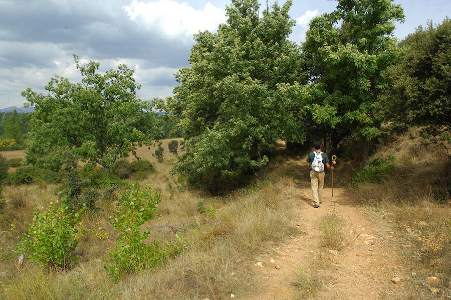 Fotos: Camino de San Salvador