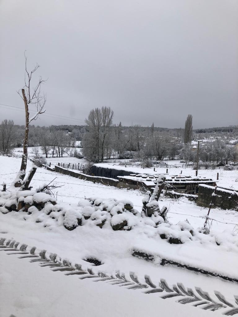 La nieve cierra dos puertos en León y Burgos, embolsa camiones en la A-52, en Sanabria, y obliga a usar cadenas en tres tramos. En las fotos, imágenes de León capital y de la provincia de León