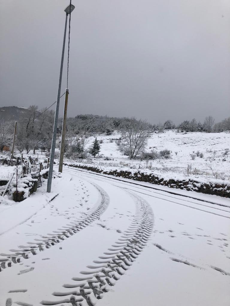 La nieve cierra dos puertos en León y Burgos, embolsa camiones en la A-52, en Sanabria, y obliga a usar cadenas en tres tramos. En las fotos, imágenes de León capital y de la provincia de León