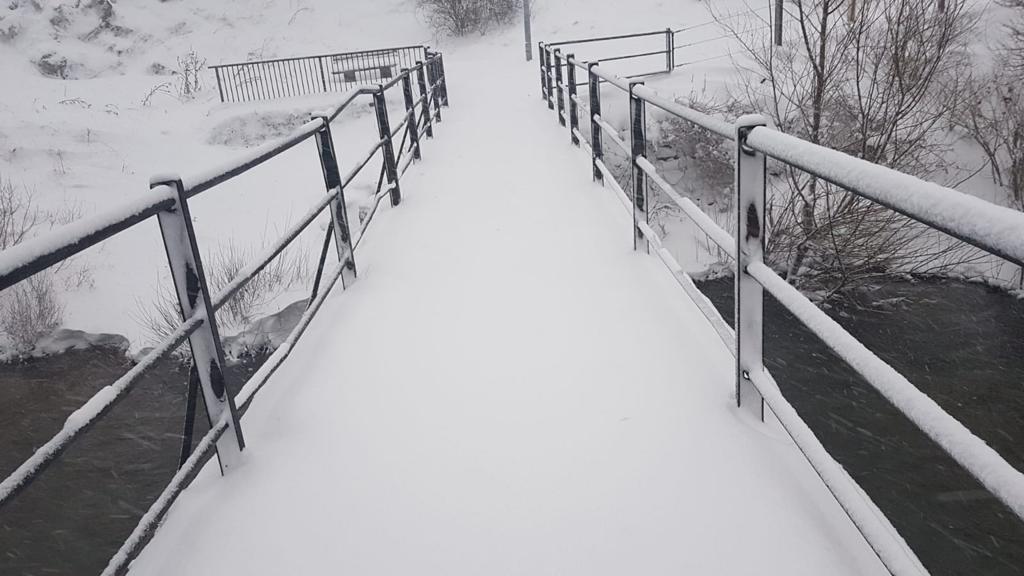 Fotos: La nieve tiñe de blanco la provincia