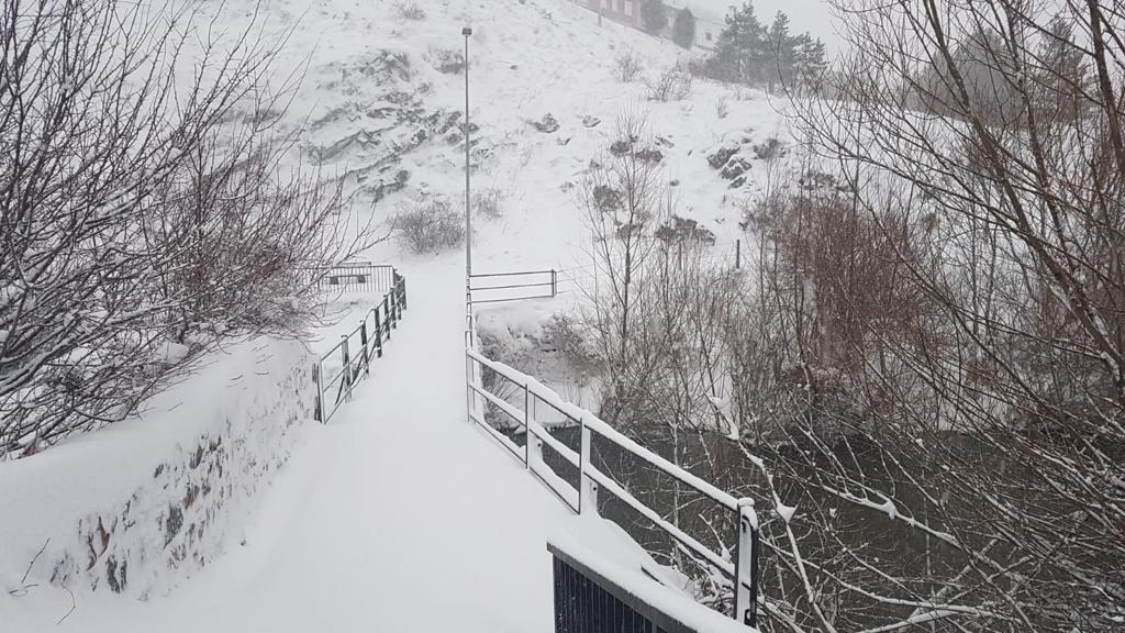 Fotos: La nieve tiñe de blanco la provincia