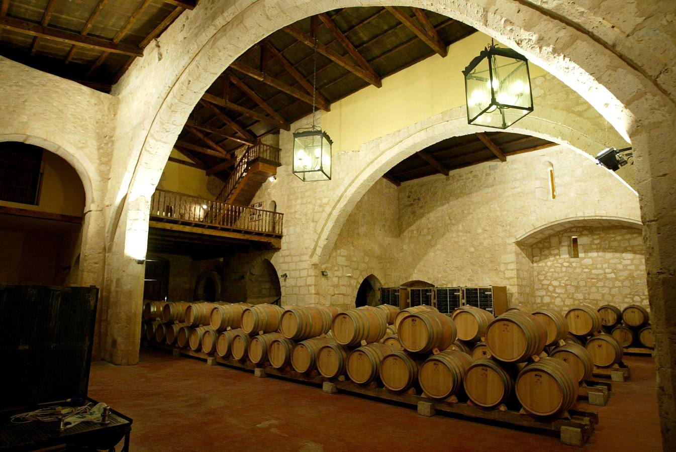 Enoturismo en la Ribera de Duero (Valladolid). Disfrutar de un día inolvidable con paisajes de viñedos, visitas a las diferentes bodegas que te ofrecerán la oportunidad aprender de primera mano sobre viticultura y elaboración de vino, vinos de gran calidad y una excelente gastronomía en la que destacan platos como el lechazo asado, las sopas de ajo o sopa castellana, los productos de la huerta, los quesos…