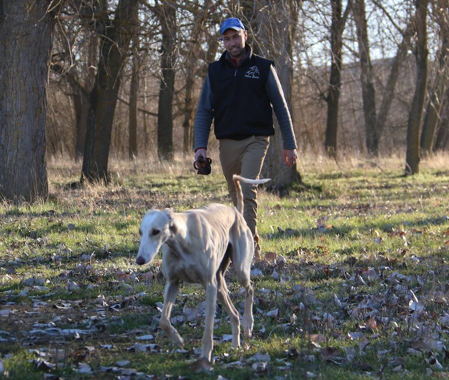 La leonesa Chaparra ha permitido a León colarse en el medallero del Nacional de Galgos 50 años después