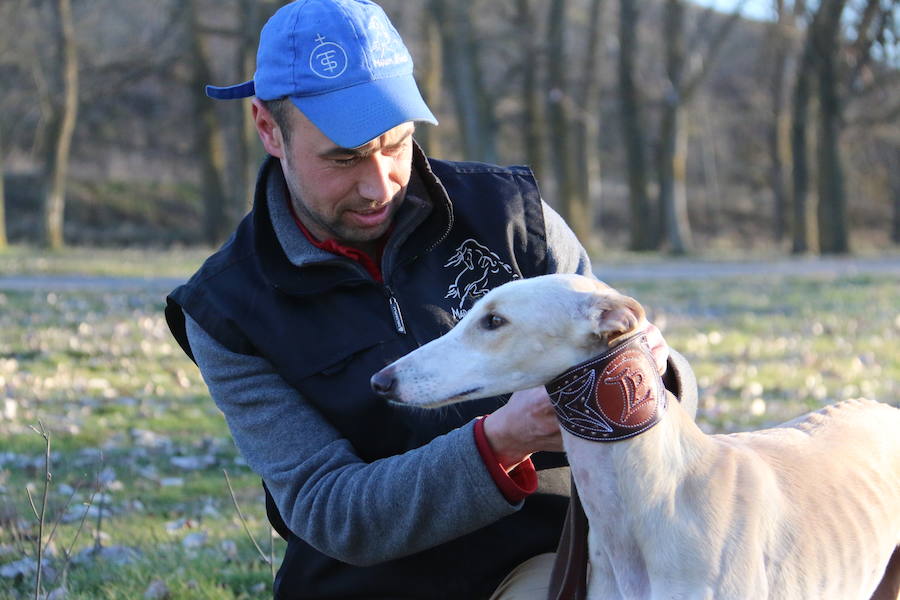 La leonesa Chaparra ha permitido a León colarse en el medallero del Nacional de Galgos 50 años después