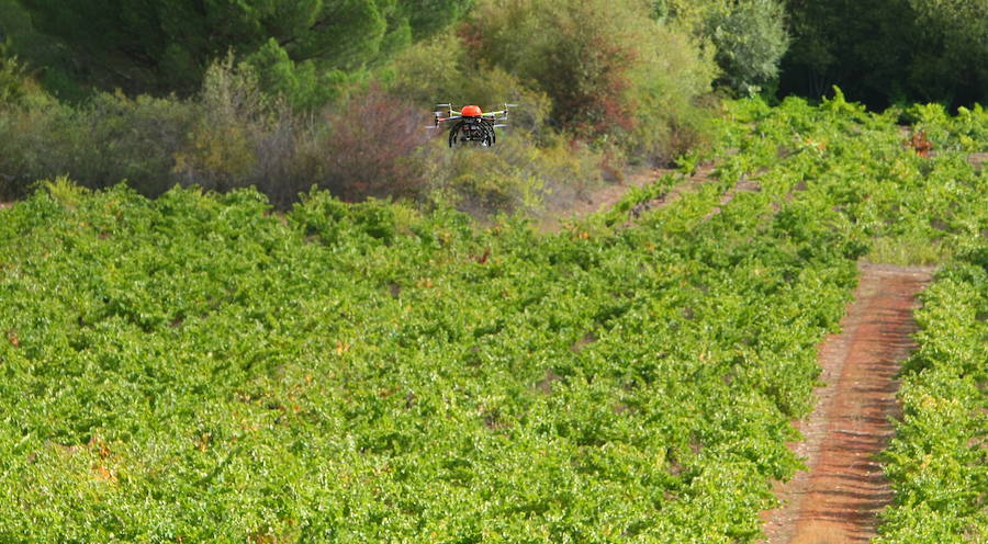 Fotos: Marta García, investigadora del grupo Geoinca del Campus de Ponferrada