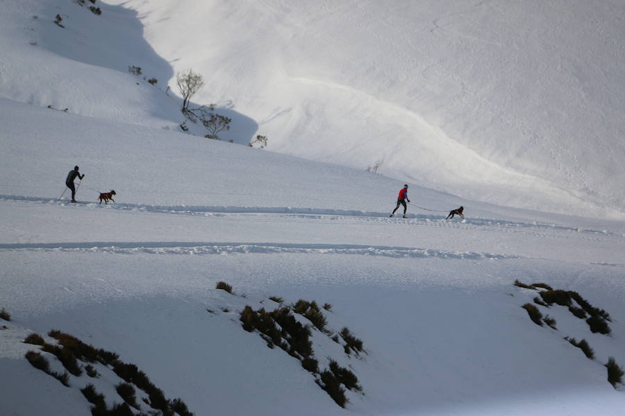 Fotos: Vegarada, capital del mushing