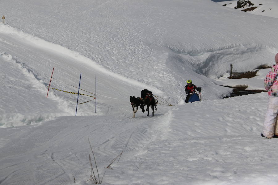 Fotos: Vegarada, capital del mushing