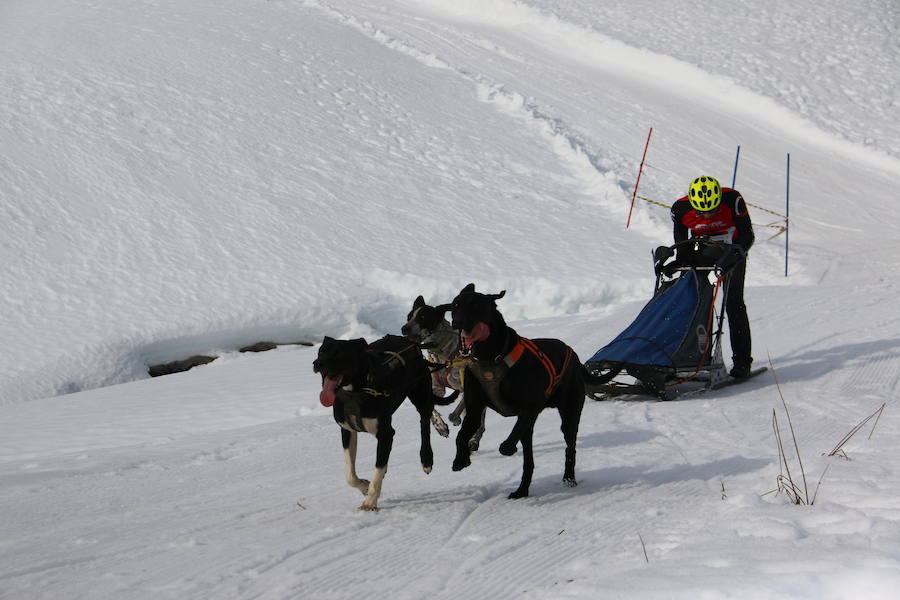 Fotos: Vegarada, capital del mushing