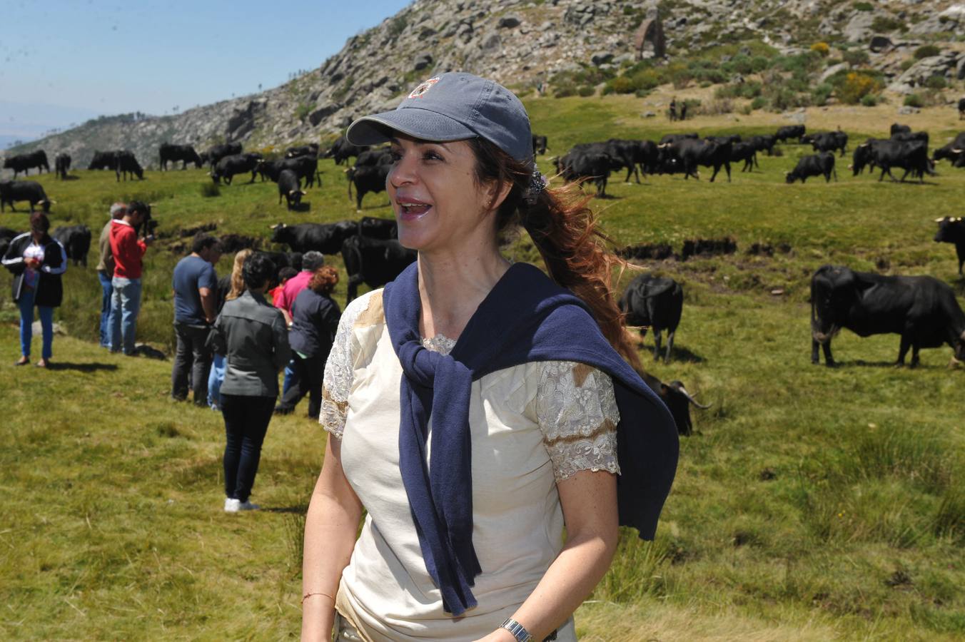 27.06.14 en la subida de las vacas al puerto del Pico en la Sierra de Gredos camino de los pastos veraniegos en Piedrahita.