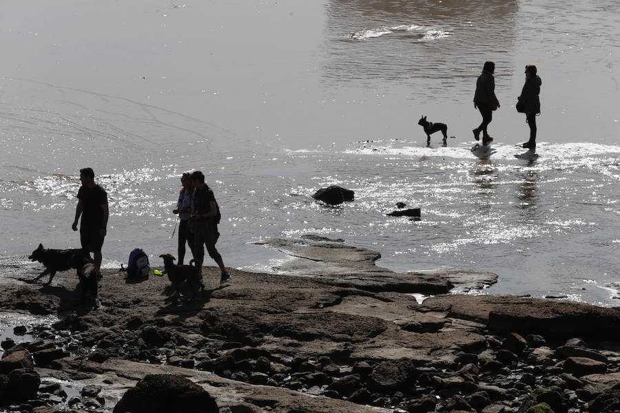 Decenas de personas se animaron a pasear por la Playa de San Lorenzo, bajo el sol y por la gran extensión de arena que dejó la bajamar