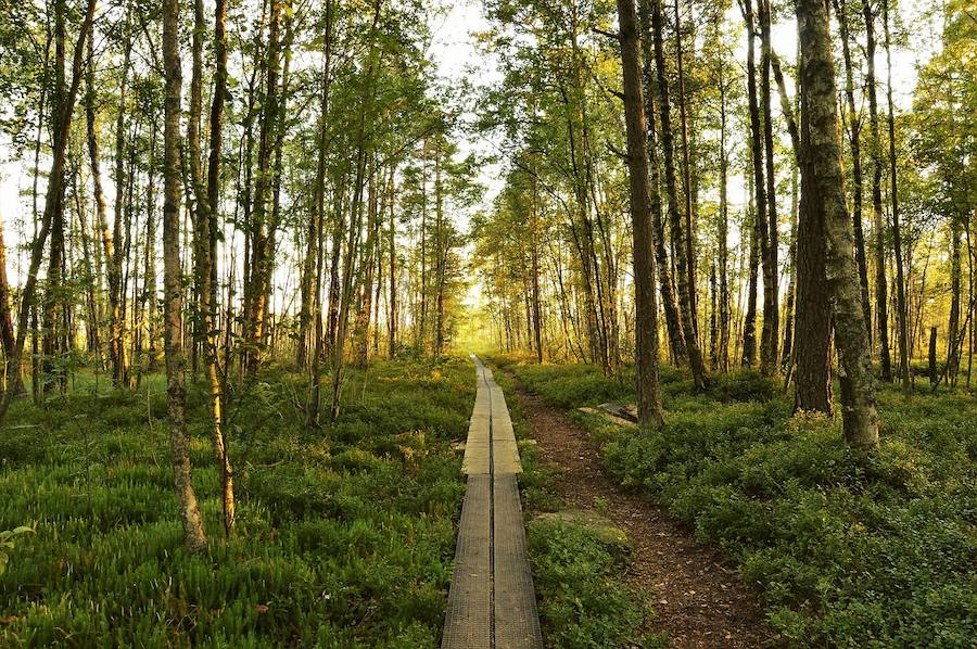 Kälsviken, Suecia | Es uno de los mejores lugares del mundo para acampar, y no únicamente por su belleza: aquí existe el denominado 'derecho de acceso público', que posibilita poder montar una acampada en prácticamente cualquier rincón, en especial en la tranquila y preciosa cala Kälsviken.