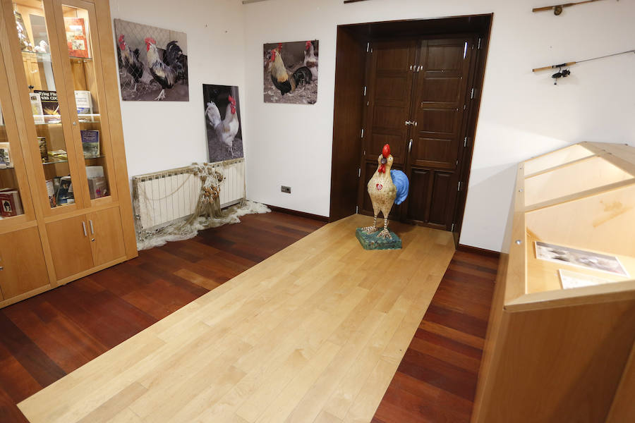 Fotos: Quinto aniversario del Museo del Gallo de La Vecilla