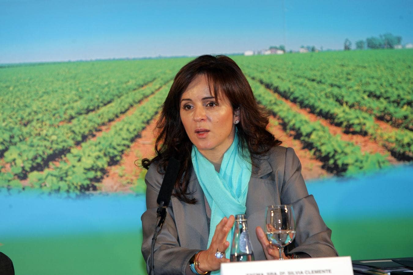 Silvia Clemente de consejera de Medio Ambiente a consejera de Cultura y Turismo a consejera de Agricultura a presidir las Cortes de Castilla y León