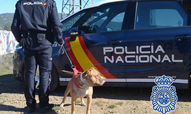 Operativo de búsqueda de la Policía Nacional. 