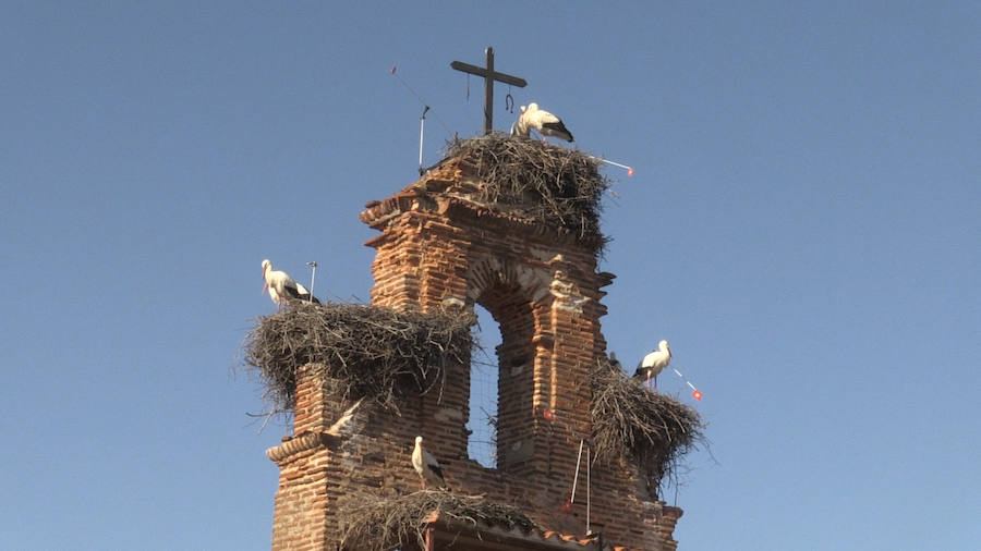 Fotos: Las ilustres vecinas de Valverde de la Virgen