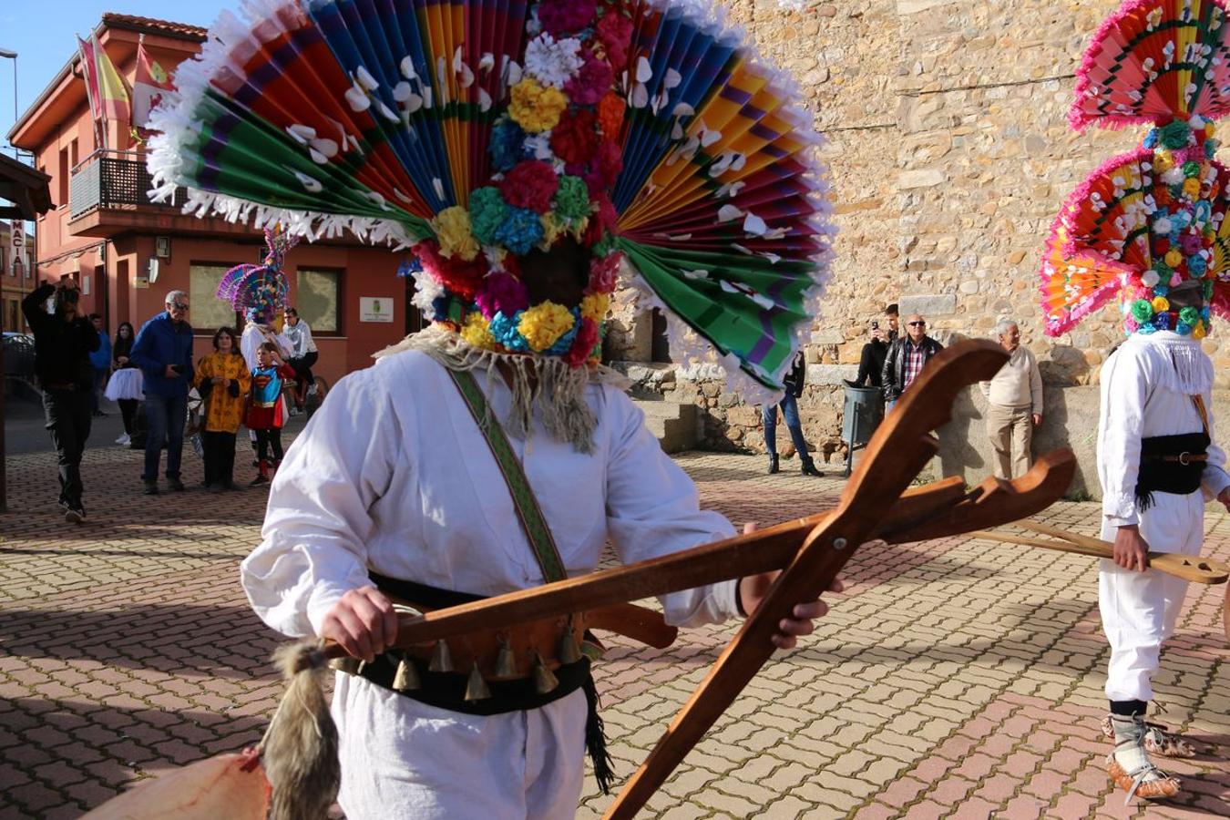 Fotos: Llamas de la Ribera vive su antruejo