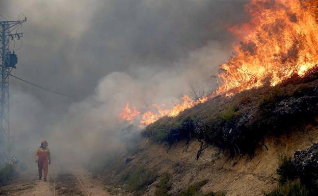 Incendio forestal en Asturias. 